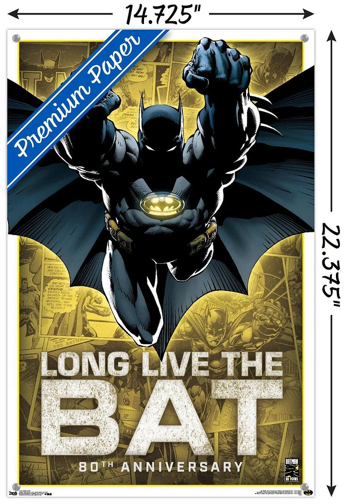 DC Comics - Batman - 80th Anniversary Wall Poster, 22.375" x 34"