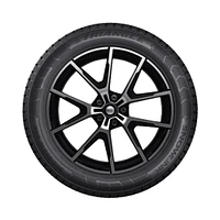 TRIANGLE SNOWLINK PL01 235/65R18XL 110T pneu d'hiver