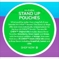 HI-CHEW BAG (L)