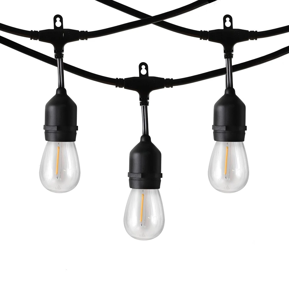 JEU DE 12 LUMIÈRES À DEL S14 EDISON AVEC FIL DE QUALITÉ COMMERCIALE ET FILAMENTS DROITS