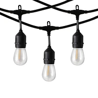 JEU DE 12 LUMIÈRES À DEL S14 EDISON AVEC FIL DE QUALITÉ COMMERCIALE ET FILAMENTS DROITS