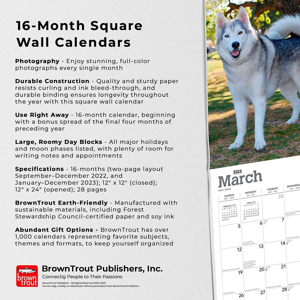 Siberian Huskies 2023 Square