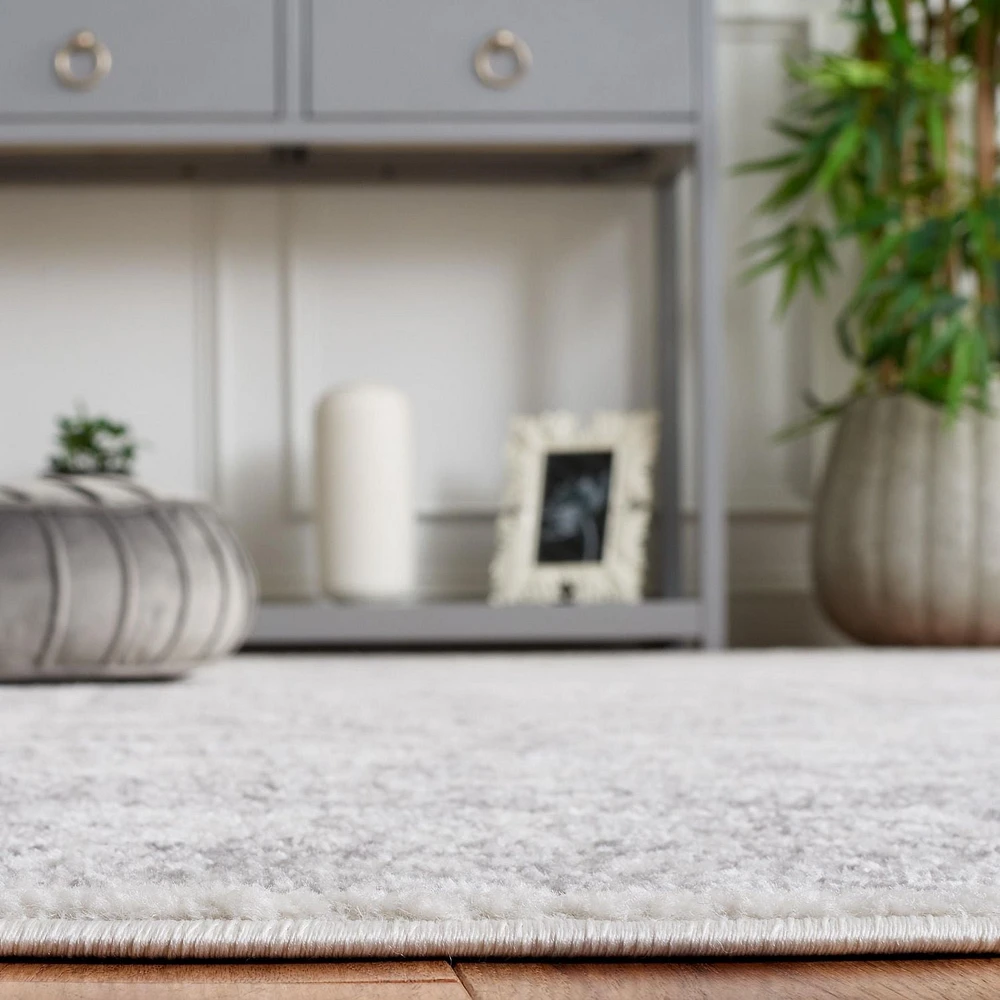 SAFAVIEH Adirondack Xavier Tapis Traditionnel