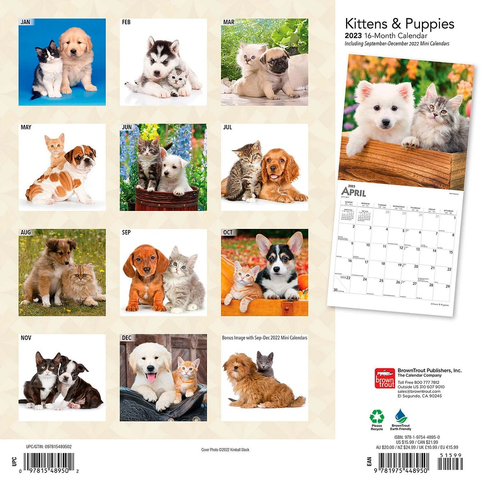 Kittens & Puppies | 2023 12x24 Inch Square Wall Calendar