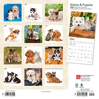 Kittens & Puppies | 2023 12x24 Inch Square Wall Calendar