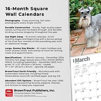 BrownTrout Miniature Schnauzers 2024 12x24 Inch Square Wall Calendar, 9781975464912