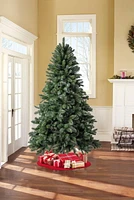 Holiday Time Donner™ 7.5' Regular Full Fir Christmas Tree - Green