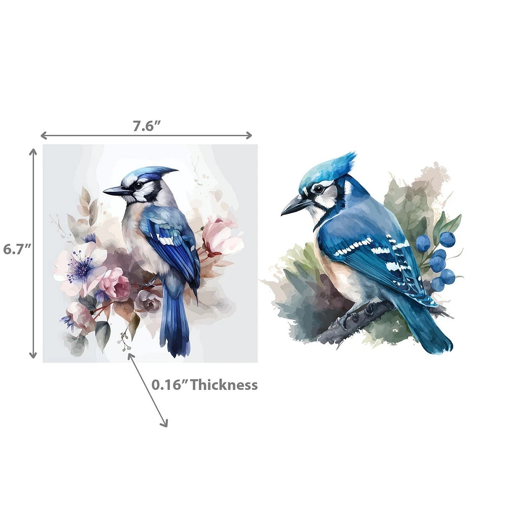 Swedish Dish Cloth Blue Jays Set De 2