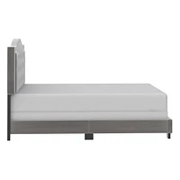 Modern Velvet Upholstered 60" Queen Bed in Light Grey