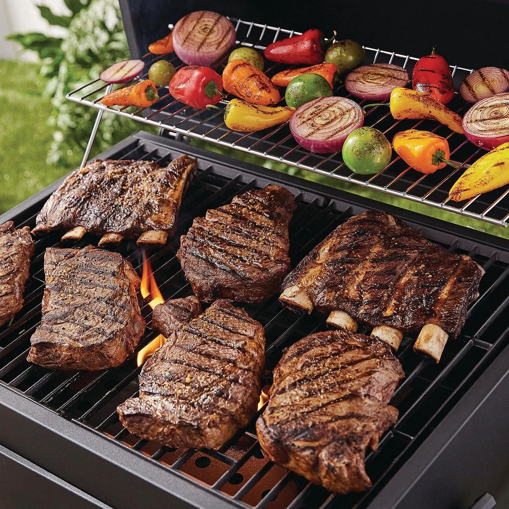 BARBECUE EXPERT GRILL ULTRA RÉSISTANT DE 61 cm AU CHARBON DE BOIS BARBECUE  DE 61 cm AU CHARBON DE BOIS