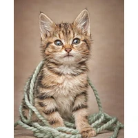 Printed Throw Kitten Lover