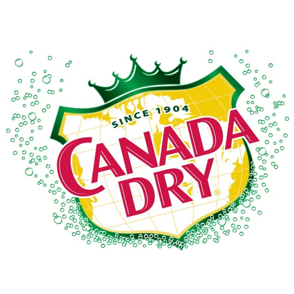 Canada Dry® Ginger Ale 222 mL Mini-Cans, 6 Pack, 6 x 222 mL