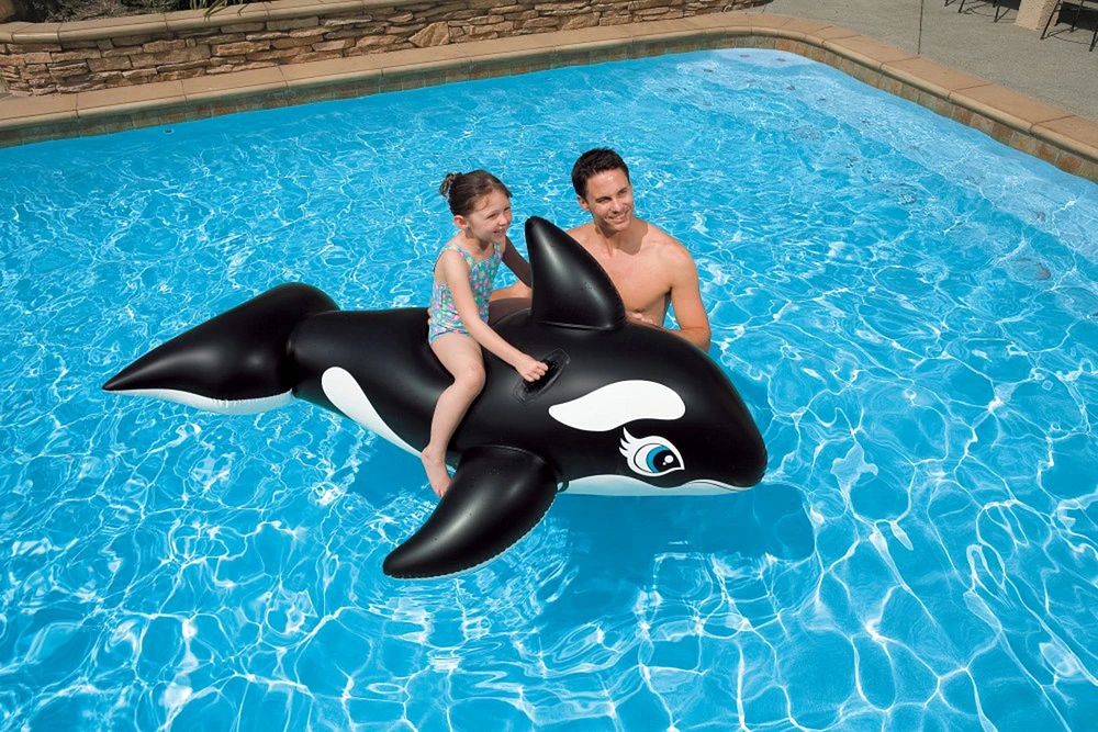 Intex Baleine Ride-On pour Enfants, À partir de 3 ans, Flotteur de Piscine Gonflable avec Poignées Résistantes