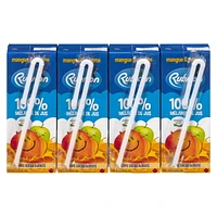 Rubicon Mango & Apple 'No Sugar Added' 100% Juice Blend, 4 x200 mL