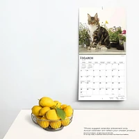 BrownTrout Maine Coon Cats 2024 12x24 Inch Square Wall Calendar, 9781975463786