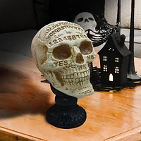 Way to Celebrate 10in Fortune Teller Skull