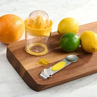 MS Citrus Juice Zester, citrus zester