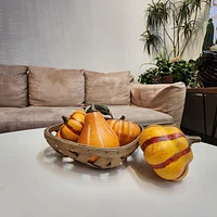 Way to Celebrate Orange & Green Baged Mini Pumpkin and Gourde 5pc