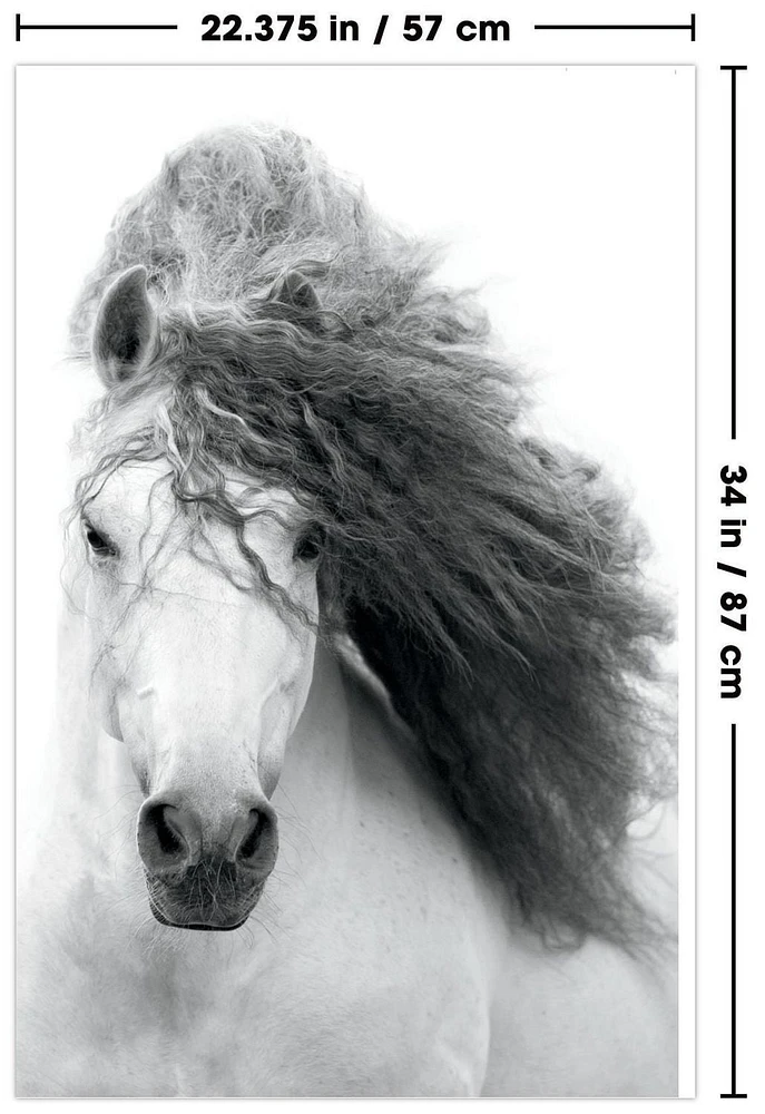 Grayscale Horse Wall Poster, 22.375" x 34"