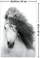 Grayscale Horse Wall Poster, 22.375" x 34"