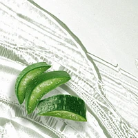 Herbal Essences bio:renew Hemp + Potent Aloe Sulfate Free Shampoo Frizz Control, 600 mL