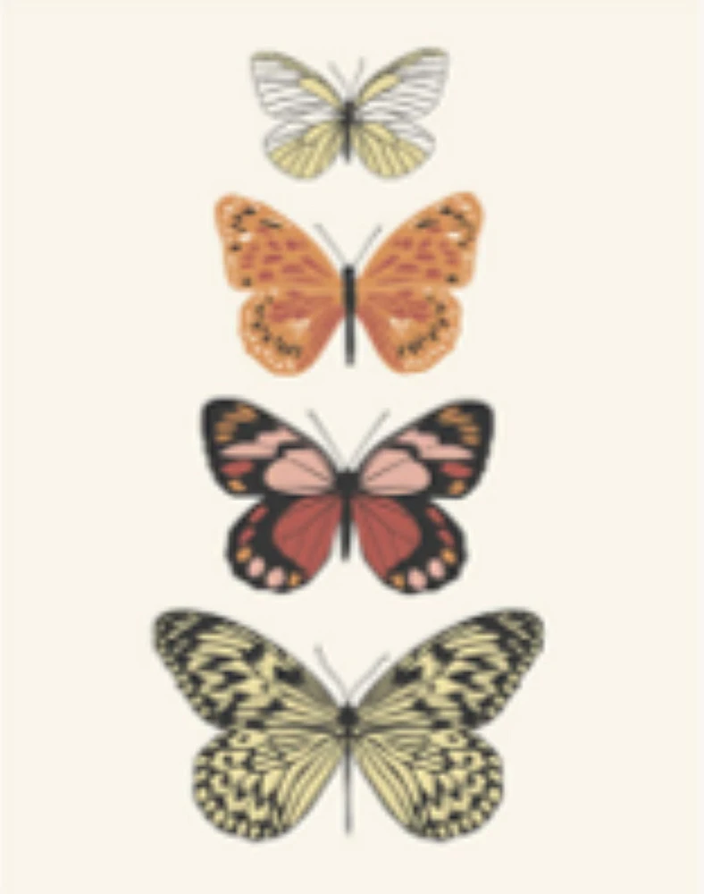 Cahier farine biologique Five Star 3 sujets 240 pages Cahier