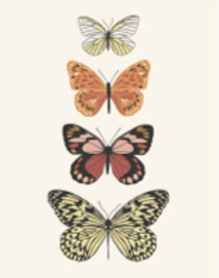 Cahier farine biologique Five Star 3 sujets 240 pages Cahier