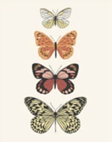 Cahier farine biologique Five Star 3 sujets 240 pages Cahier