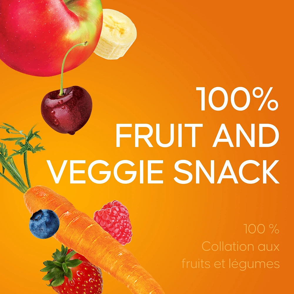 Sun Rype Fruit to Go 100% Fruit and Veggie Snack Pack, 9 x 14 g