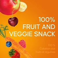 Sun Rype Fruit to Go 100% Fruit and Veggie Snack Pack, 9 x 14 g