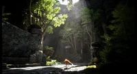 Spirit of the North 2 (PS5)