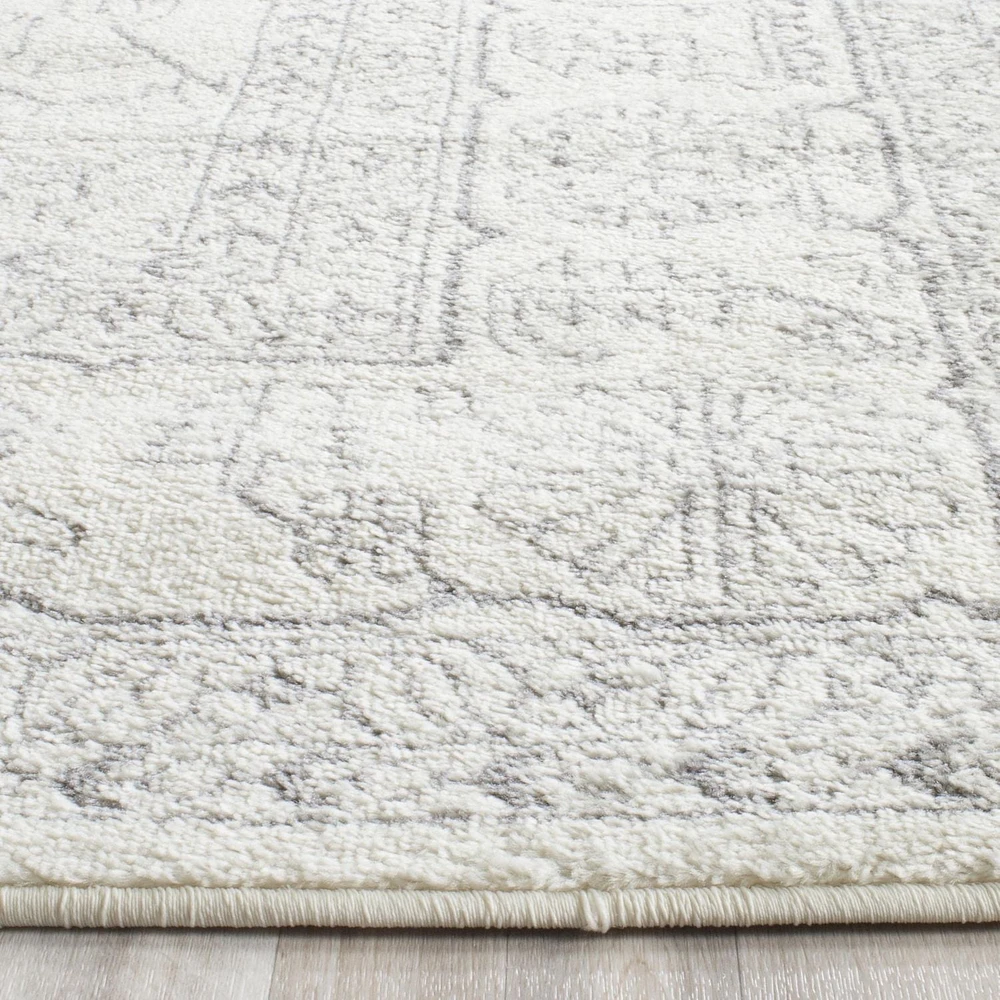 SAFAVIEH Adirondack Xavier Tapis Traditionnel