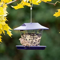 More Birds Ranch Hopper Feeder - 1.7lb Capacity