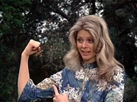 The Bionic Woman: The Complete Series