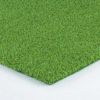 AllGreen Pacific Putting Golf professionnel professionnel de
