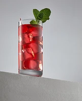 Verres Highball en Cristal Faye - 13 oz - Ensemble de 6