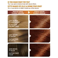 Garnier Belle Color Permanent Hair Dye, Natural results, up to 100% Grey Coverage, Enriched with Argan Oil