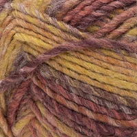 Bernat® Symphony™ #5 Bulky Blend Yarn, 7.9oz/225g 309 Yards