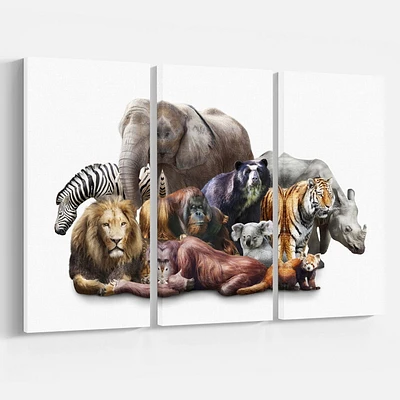 Design Art Animaux Sur Fond Blanc Art Sur Toile