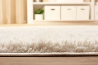 ECARPET Bliss 5'0" x 8'0" Contemporary/Modern, Plush & Shags Area Rug for Living Room, Bedroom, Dining Room, Entrance, Hallway and More.