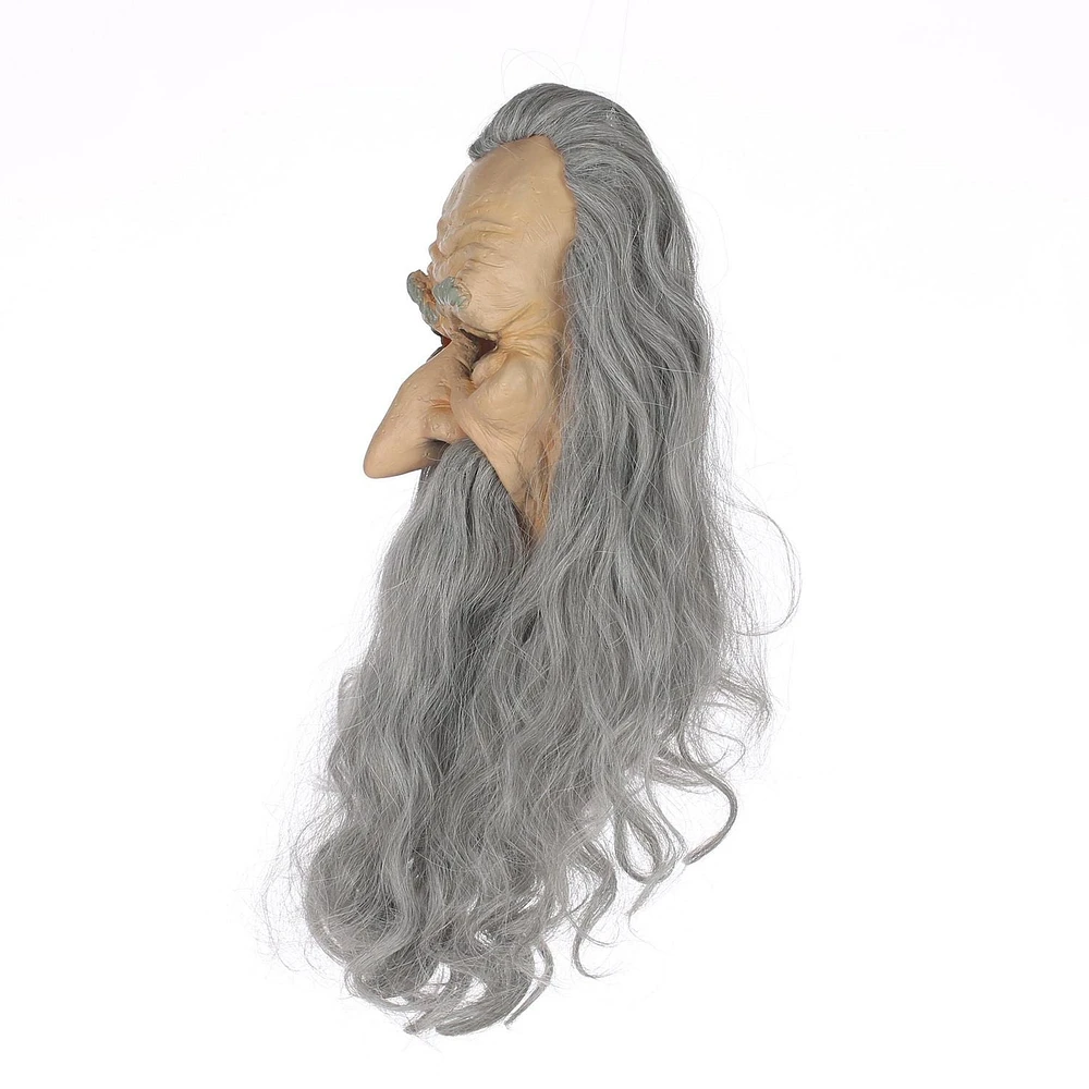 HALLOWEEN-MASQUE DE SORCIER
