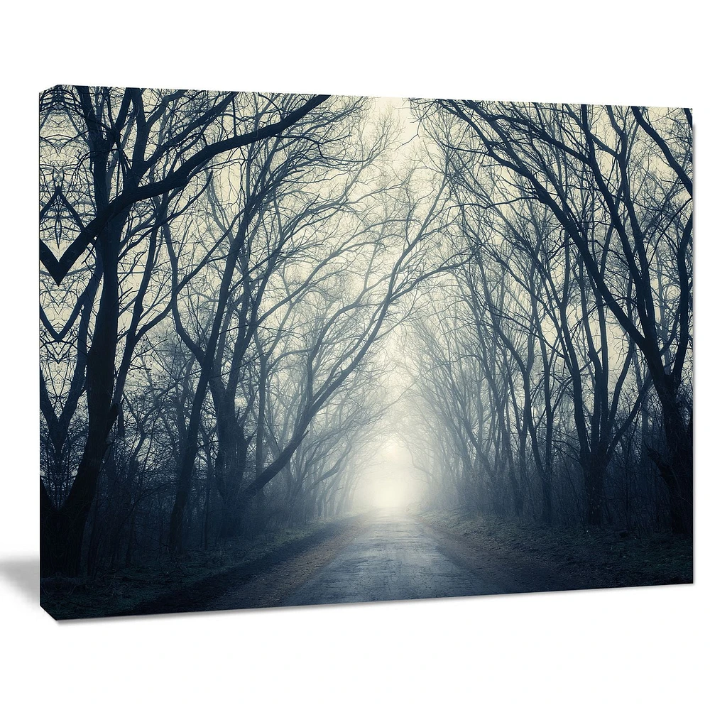 Tableau de photographie moderne imprimé sur toile Design Art foret d'automne
