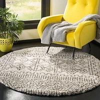 SAFAVIEH Hudson Raphael Contemporary Shag Area Rug