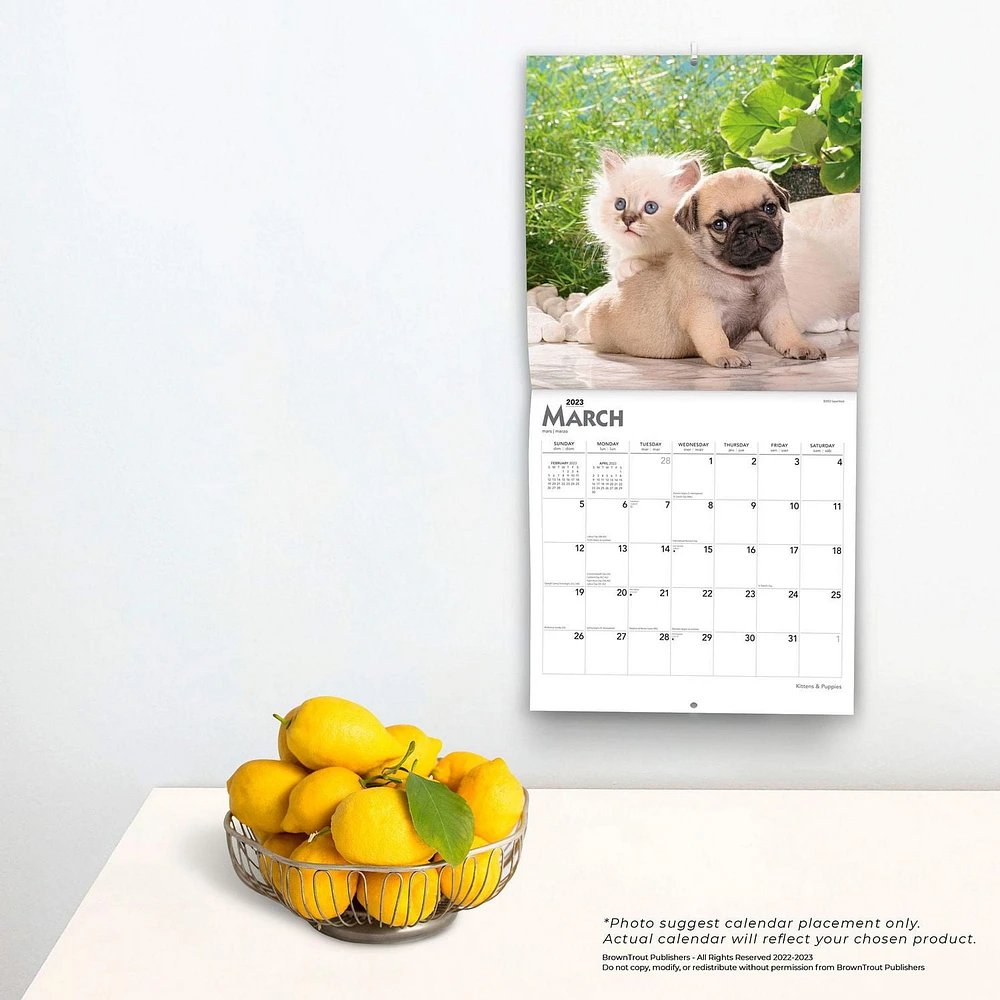 Kittens & Puppies | 2023 12x24 Inch Square Wall Calendar