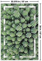Cactus - Group Wall Poster, 22.375" x 34"