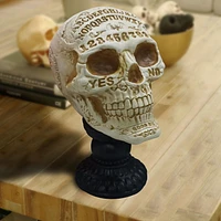 Way to Celebrate 10in Fortune Teller Skull