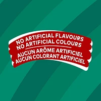 Lay’s croustilles assaisonnées Sel et vinaigre 220 g.