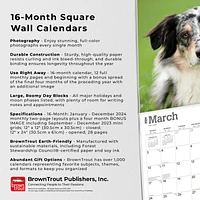 BrownTrout Australian Shepherds 2024 12x24 Inch Square Wall Calendar, 9781975457747