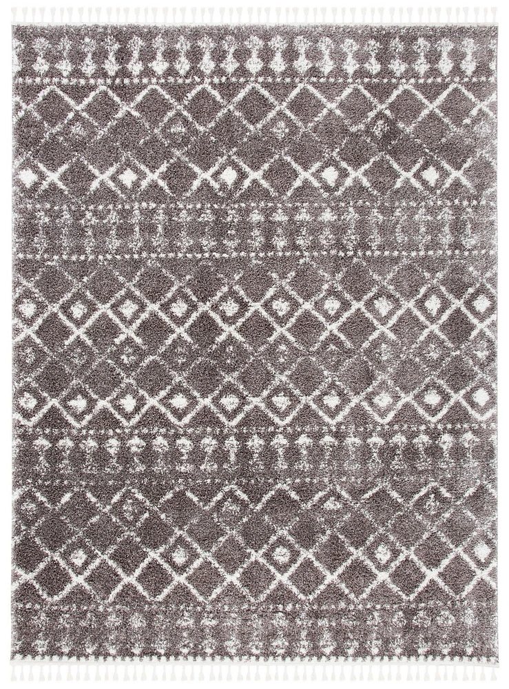 Safavieh Berber Fringe Robynne Aztec Shag Area Rug