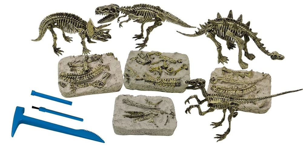 Science4you - Excavation de Fossils 4 en 1